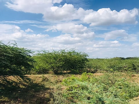 The district, home to 132 minor irrigation tanks under the rural development department, relies heavily on water bodies for drinking water, cattle rearing, and agricultural activities. 