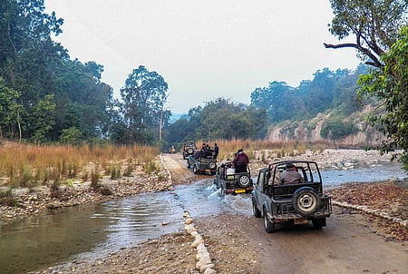 A view of the Jim Corbett National Park in Uttarakhand.