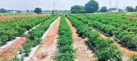 Durshed, Gopalpur residents oppose merger with Municipal Corporation of Karimnagar