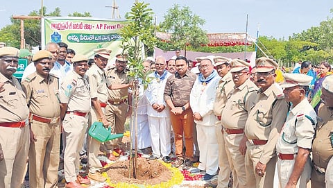 Palnadu DFO N Rama Chandra planted saplings at Kotappakonda