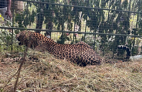 For representational purposes only