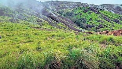 Chokramudi hills located in Bisonvalley panchayat of Idukki
