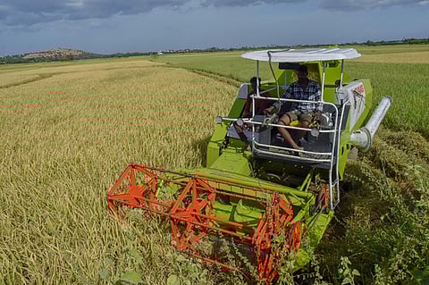 Farmers on satyagraha against genetically modified crops