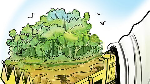 Representative image.