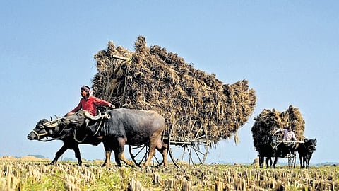 Representational image.