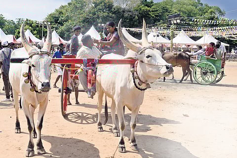 Vestiges from the villages