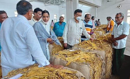 Tobacco being auctioned at a centre in Ongole