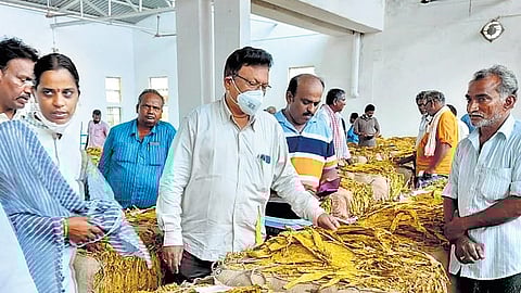 Tobacco being auctioned at a centre in Ongole