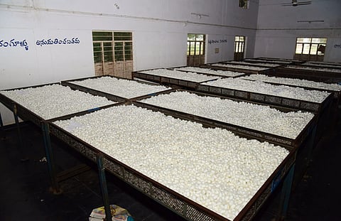 As part of the programme, farm inputs and subsidies worth Rs 93.28 lakh were distributed to 152 silk farmers.