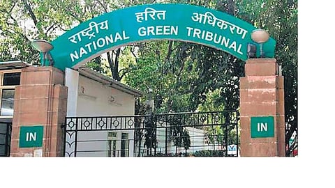  National Green Tribunal (NGT) 