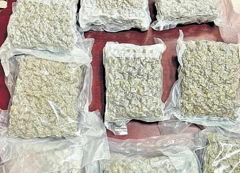 Hydro ganja seized at Kochi airport.