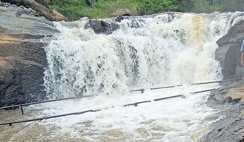 A view of Small Falls in Kolli Malai