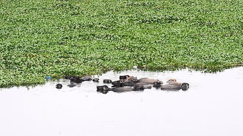 Image used for representational purposes only.