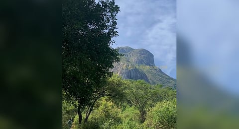 Since it is the Tamil month of Puratasi, more devotees have been visiting the temple after seeing social media posts.