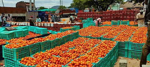 Image used for representative purposes