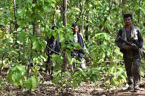 Security forces carrying out search operation in the forested terrain of Bastar.