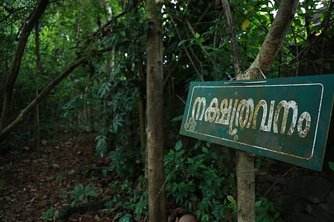 Ponnakkudam Kavu in Thevakkal has remained a hidden gem, with about 600 species of flora, including those on the IUCN Red List, 63 species of birds, 23 species of butterflies. Recently, it won the Kerala Biodiversity Boards award for best sacred grove conservation in the state.