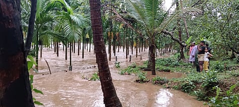 Paddy, rubber, areca nut, coconut and banana crop grown in about 150 acres of land have been damaged in the flash flood incident.