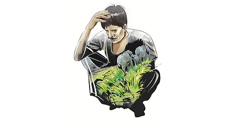 Wild animal menace sparks reverse migration of farmers to the plains in Kerala