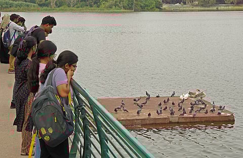 Activities of the proposed event to be conducted by the Bengaluru Water Supply and Sewerage Board will affect the nightlife of birds at the lake, he alleged.
