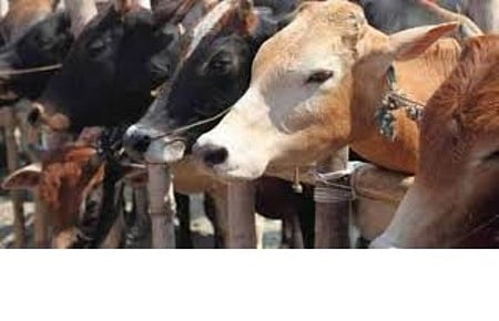 Image used for representational purposes only