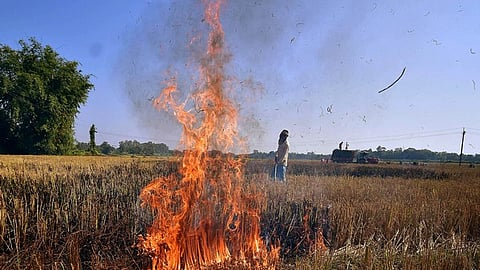 Stubble burning photo used for representative purpose.
