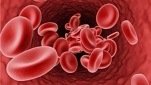 Image used for representative purposes only.