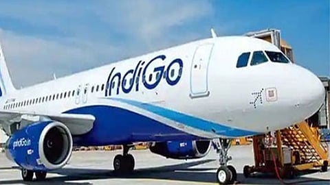 The incident occurred at 7:30 am when a bald eagle struck the left engine of the aircraft, prompting the pilot to apply the brakes to avoid a potential mishap.