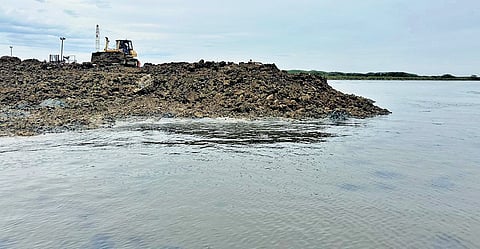 Fishers trace root of the problem to unchecked industrial activity