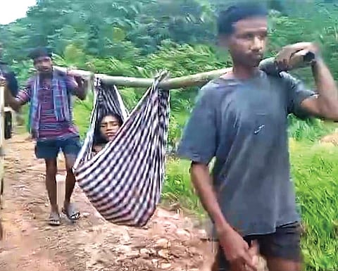 A tribal woman was shifted to a PHC in a doli after she gave birth at her home in Pitrigedda, Anakapalle