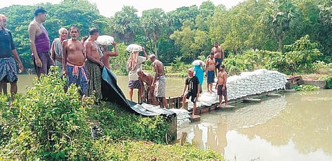 Farmers placing sandbags at Mathsahi 