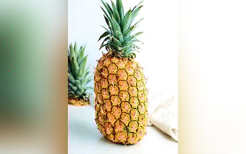 Pineapple farmers in Kerala hit sweet spot as price spike prolongs