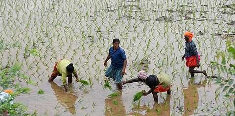 Farmers block Bargarh-Bhatli road in protest against land mafia and illegal sale of farmland