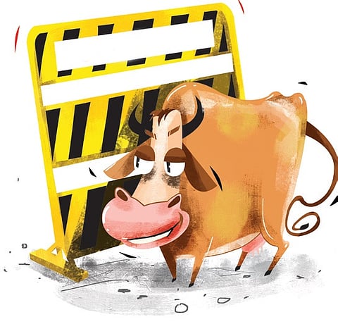 Express illustration