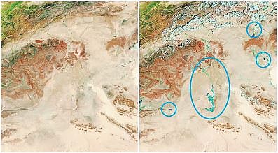 NASA had, in September, released a few satellite images of Sahara Desert, showing pockets of plant life popping up all across one of the driest regions on the planet.