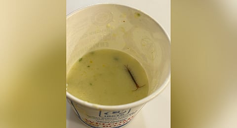 The photo shared by the complainant shows a centipede floating in his meal.