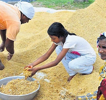 Telangana set to achieve highest-ever paddy yield this year: Minister Uttam Kumar Reddy