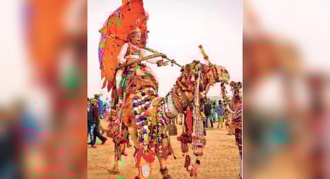 Pushkar Camel Fair 2024 to begin on November 9