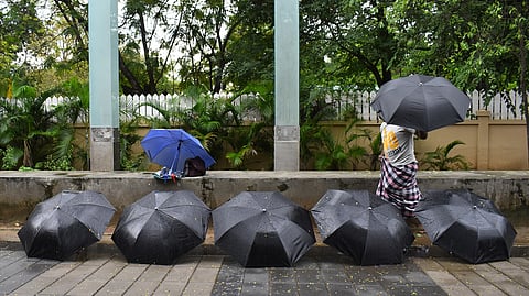Image of umbrellas used for representational purposes only.