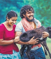 'Kerebete' and 'Venkya' to be screened at 55th IFFI 2024