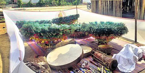 Relocated tribes cultivate 
community, culture in Telangana's Nirmal district