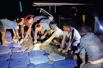 The replite captured safely