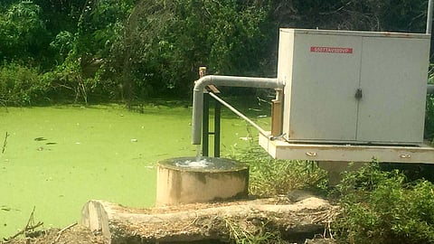 Athikadavu - Avinashi project water mixed with sewage water in Avinashi in Tiruppur district