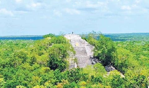 Valeriana boasts an impressive 6,764 structures, revealing an aggregate settlement density of 55.3 structures per square kilometre.