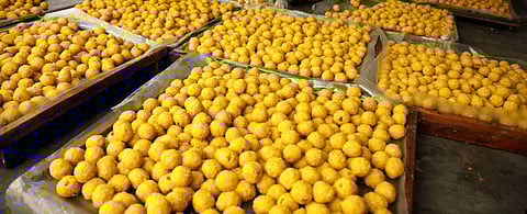 Representative image