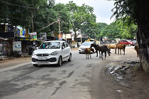 Vadavalli - Maruthamalai road image used for representation purposes only.