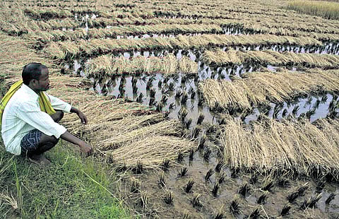 TNIE takes a look at the impact of heavy rain across the state.