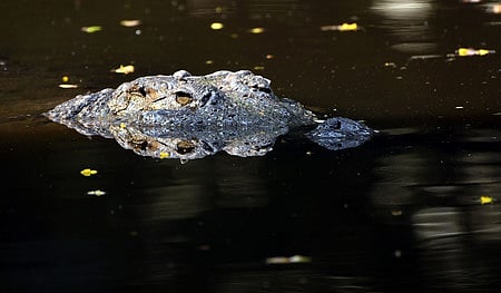 Image used for representational purposes