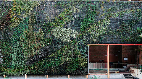 A pioneering vertical garden, home to over 15,000 plants across 153 species—many native to Karnataka and the Western Ghats—was introduces on Thursday.