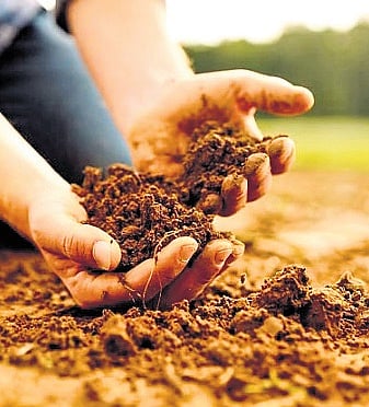 For representational purposes only